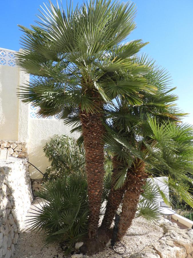 Casa Andamar Appartement Benissa Buitenkant foto